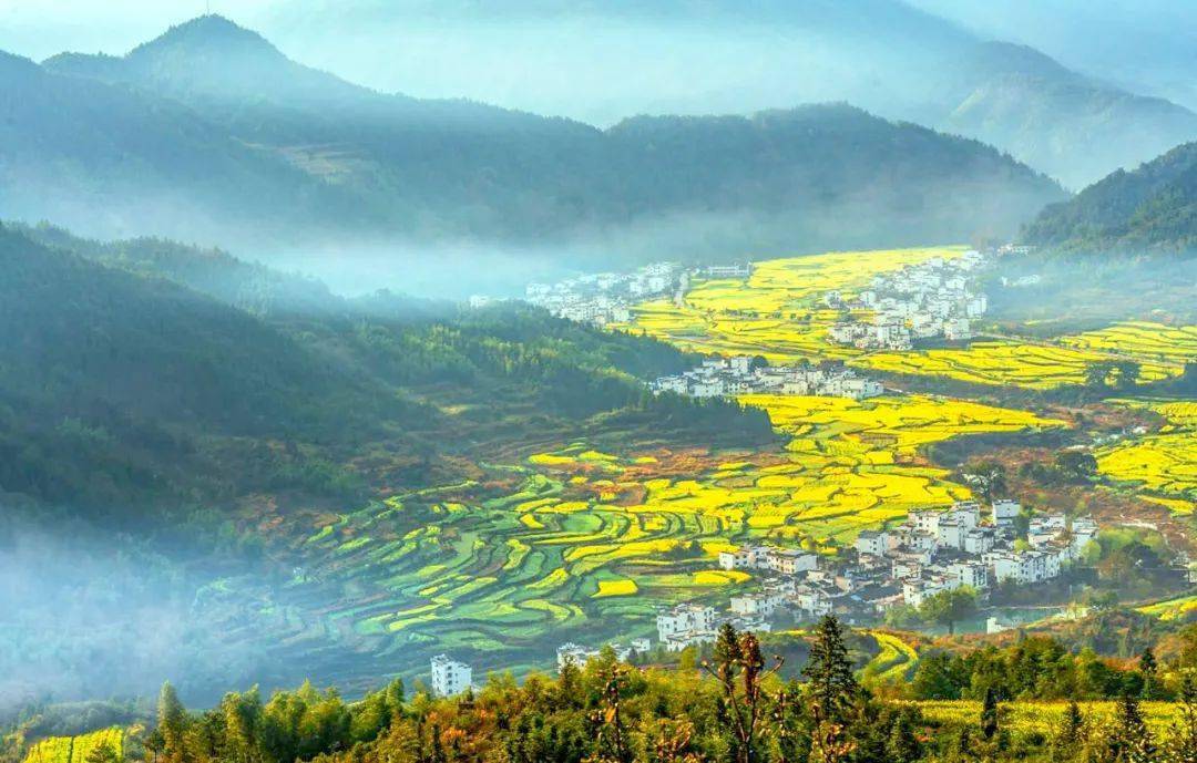 江西绿色生态之旅