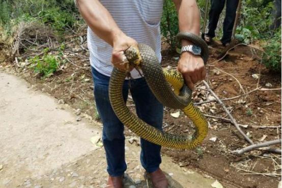 河南，邂逅自然的河南之旅